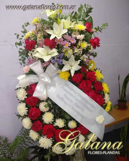 corona americana numero 3