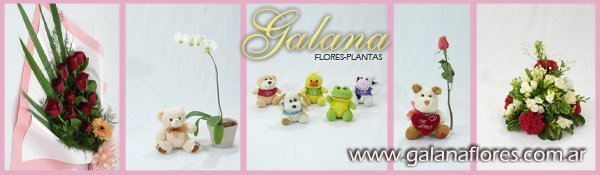 Regalos ideales para el dia de los enamorados, Galana flores siempre le ofrece la mejor calidad