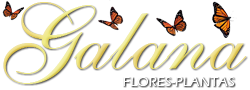 GALANA Flores Plantas Logo